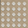 25 Tiger Paws Award Decals 1/2&quot;